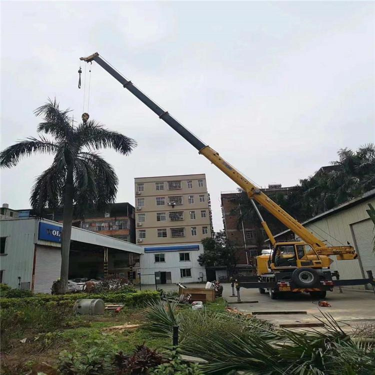 祥符汽车吊出租多少钱？全面解析与市场行情